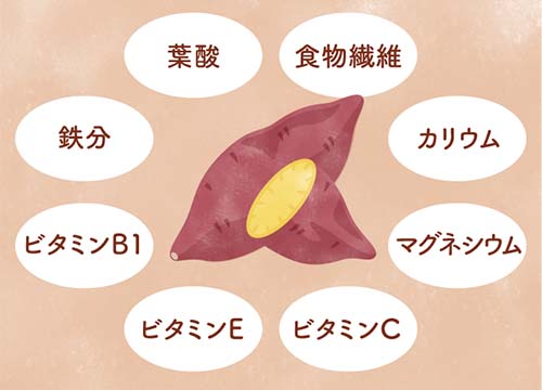 体に大切な栄養素がいっぱい